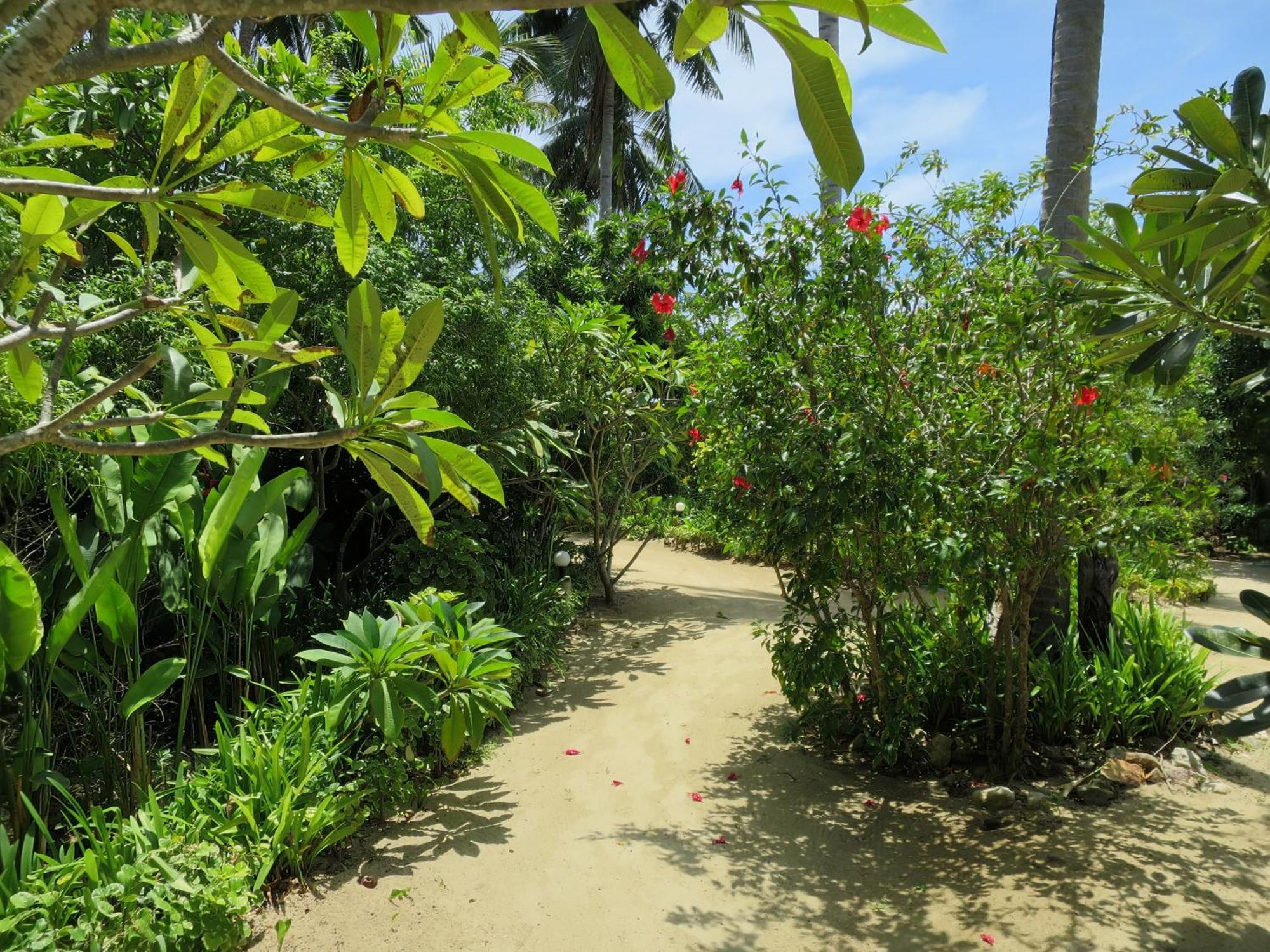 Seaflower Bungalows Srithanu Room photo